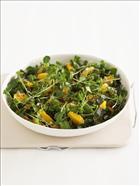 Watercress, Sprout Seed and Orange Salad